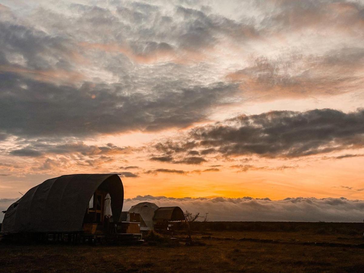 Amanya 1 -Bed King Lion Tent Amboseli Eksteriør bilde